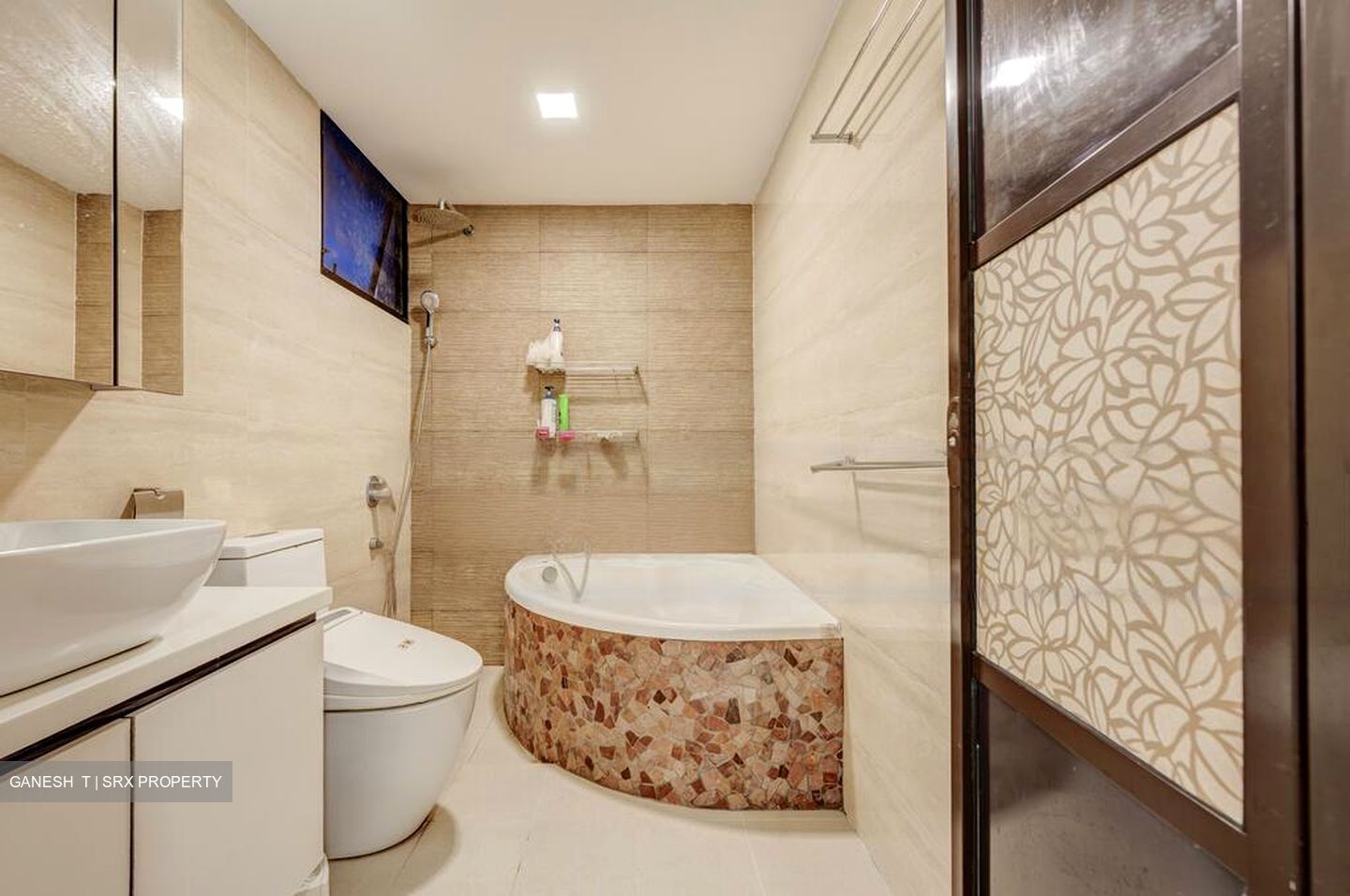 Euro-Asia Park (D13), Condominium #459159021